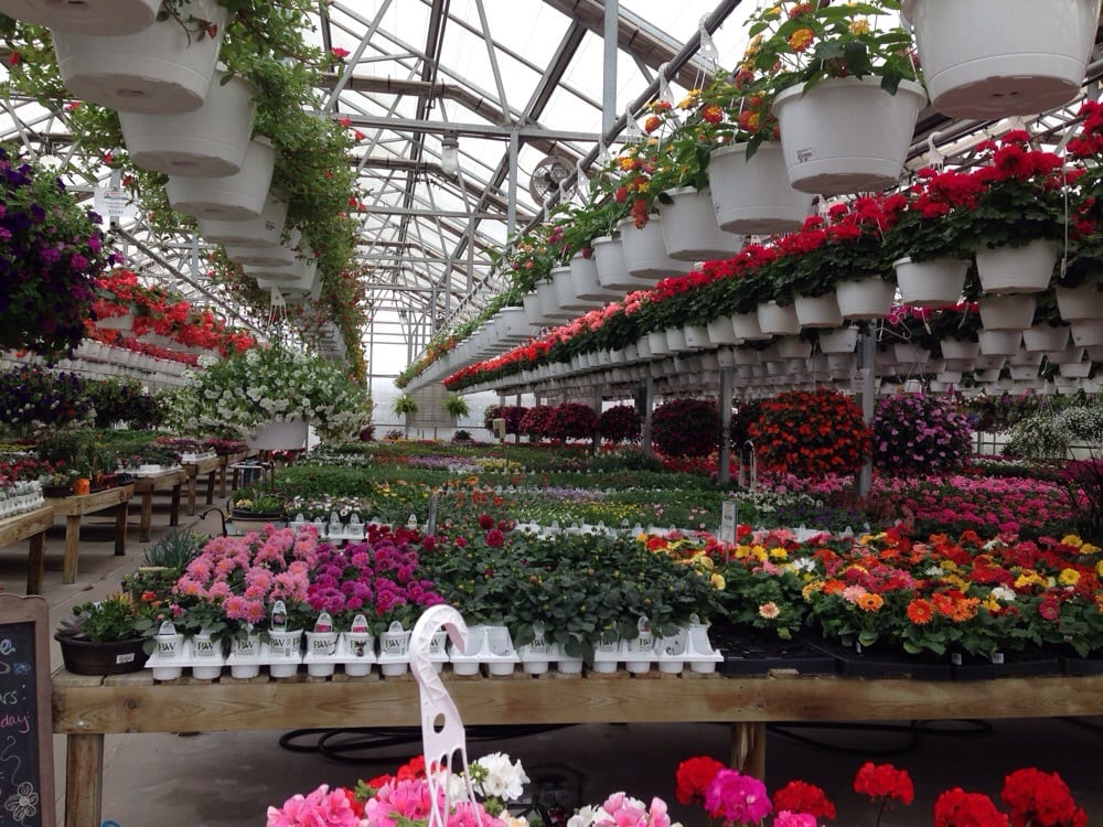 CANOYER COUNTRY GREENHOUSE Updated October 2024 48597 Highway 92, Griswold, Iowa Nurseries