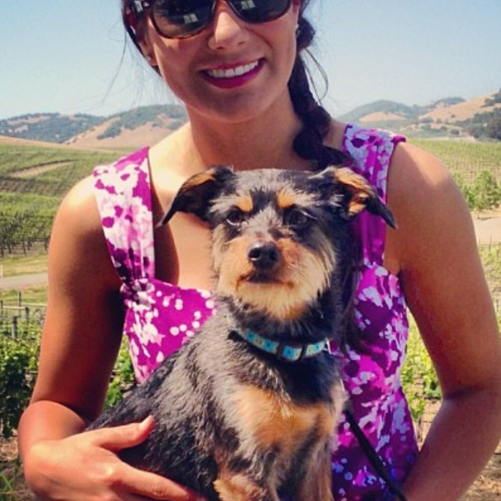Cuvaison - Our puppy LOVES Cuvaison!!! - Wineries Near Me - Napa, California Cuvaison - Our puppy LOVES Cuvaison!!! - Wineries Near Me - Napa, California