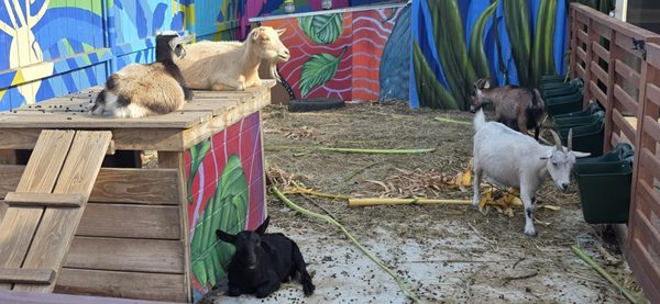 Paradigm Gardens by null