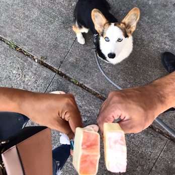 Seattle Pops - Our 9 month old pup was a fan of their popsicles - Desserts Near Me - Seattle, Washington