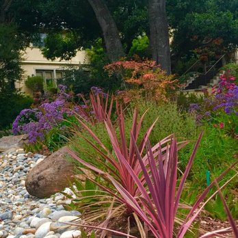 Tapia's Landscaping - a garden with rocks and plants - Landscaping Near Me - Watsonville, California Tapia's Landscaping - a garden with rocks and plants - Landscaping Near Me - Watsonville, California