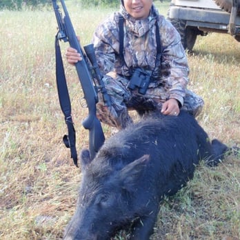 Hogs Wild Hunting Ranch - segundo puerco - Wildlife Hunting Ranges Near Me - Coalinga, California Hogs Wild Hunting Ranch - segundo puerco - Wildlife Hunting Ranges Near Me - Coalinga, California