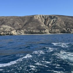 Channel Islands Sportfishing