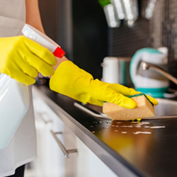 Xtreme Clean