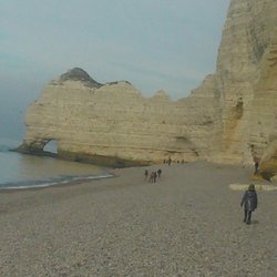 Kreidefelsküste Etretat - Felsen