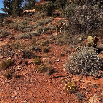 Boynton Canyon Trail - Hiking Near Me - Sedona, Arizona Boynton Canyon Trail - Hiking Near Me - Sedona, Arizona