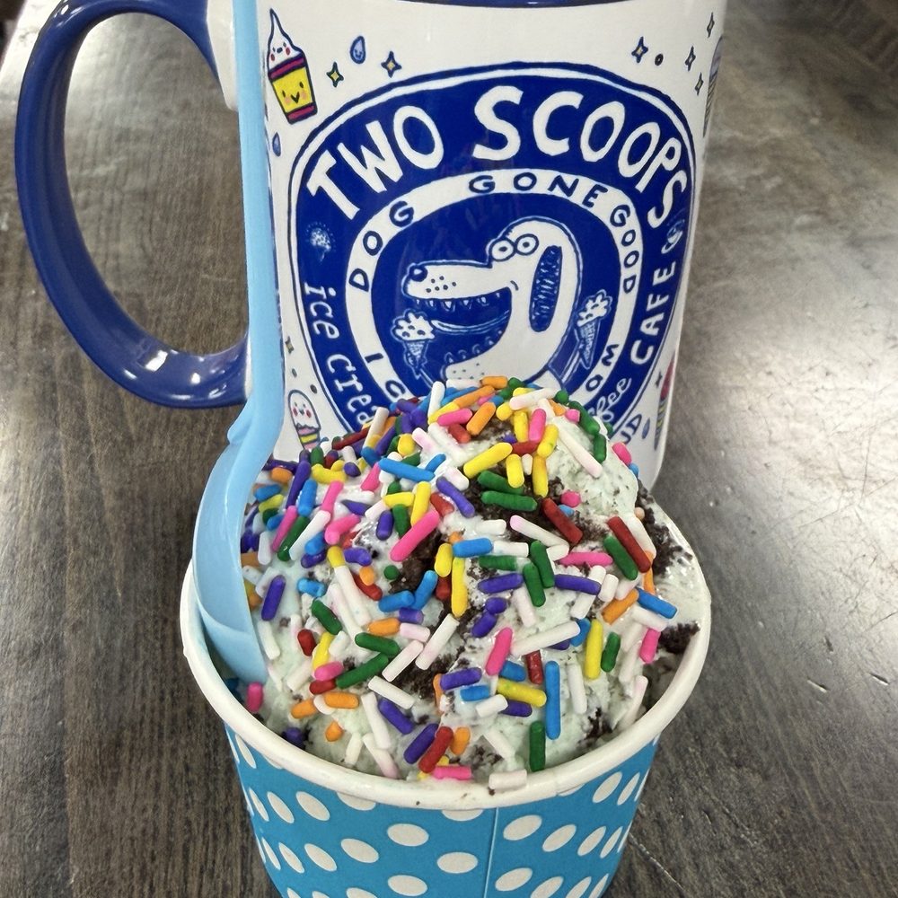 Two Scoops - Ice Cream & Frozen Yogurt Near Me - Anna Maria, Florida
