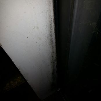Seattle Furnished Suites - Black mold all over doors and windows - Guest Houses Near Me - Seattle, Washington Seattle Furnished Suites - Black mold all over doors and windows - Guest Houses Near Me - Seattle, Washington