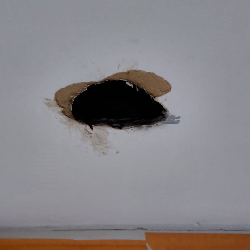 Bay Area Beebusters - Adios Yellowjacket nest - Pest Control Near Me
