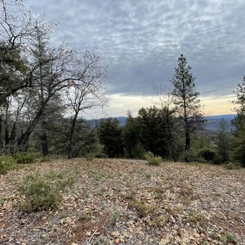 Sierra Outdoor School - Beautiful weather for our Silent Mile - Hiking Near Me - Phoenix Lake-Cedar Ridge, California Sierra Outdoor School - Beautiful weather for our Silent Mile - Hiking Near Me - Phoenix Lake-Cedar Ridge, California