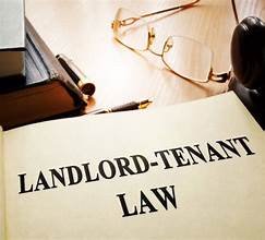 Jonathan Kam Attorney at Law