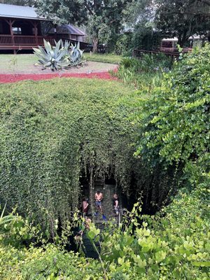 Devil's Den Prehistoric Spring and Campground by null