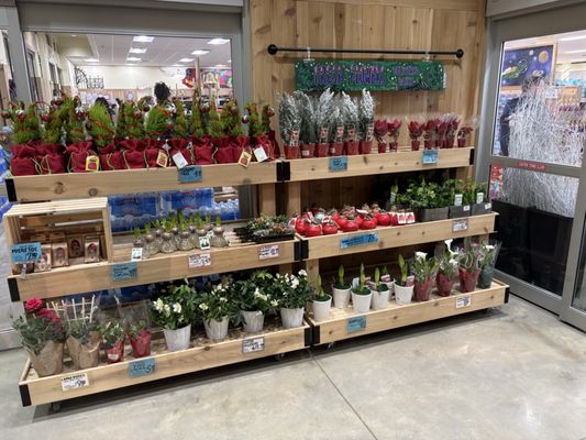 Trader Joe's by null