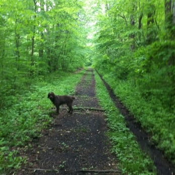 Marsh Creek State Park - Beautiful trails - Parks Near Me - Downingtown, Pennsylvania Marsh Creek State Park - Beautiful trails - Parks Near Me - Downingtown, Pennsylvania