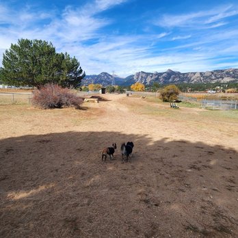 Estes Valley Dog Park - Beautiful view inside one of the parks - Dog Parks Near Me - Estes Park, Colorado