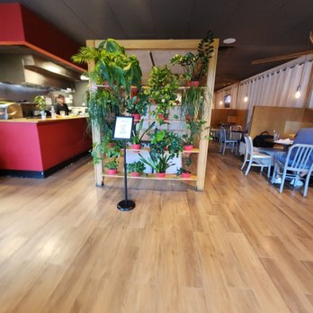 Kokai Sushi & Lounge - Japanese Near Me - Doral, Florida Kokai Sushi & Lounge - Japanese Near Me - Doral, Florida