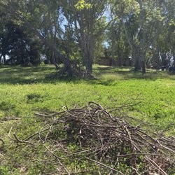 Hopkins Wilderness Park - This looks like it. Kids seem to be playing someplace around here. I found a trail by the rear fence!