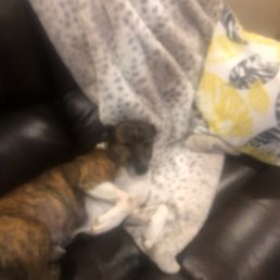 Sofa lounging