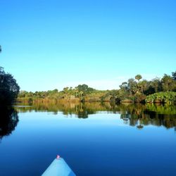 Camp Venice RV Resort - Myakka River