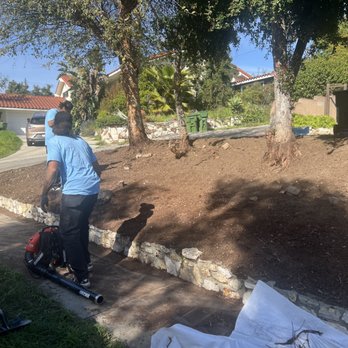 Aquatic Irrigations - The beauty beneath: transforming tangled ivy into a canvas of renewed elegance through meticulous removal - Lawn Services Near Me