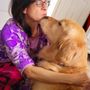 Photo of Arleen's Dog Care