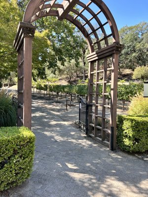 Beringer Vineyards by null