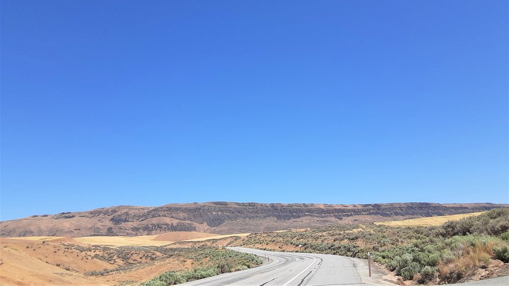 RUNNING WAREHOUSE Updated October 2024 11 Photos & 209 Reviews