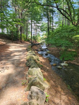 Stanley Park by null