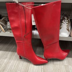 Burlington - Cute boots- too bad it didn't fit my calves ;(
