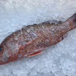 Seafood Express