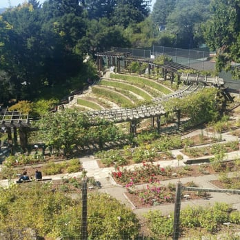 The Berkeley Rose Garden - Botanical Gardens Near Me - Berkeley, California