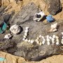 Photo of Dolphins Lomi Lomi Massage