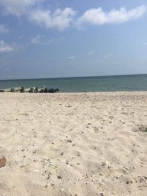 Joseph Sylvia State Beach by null