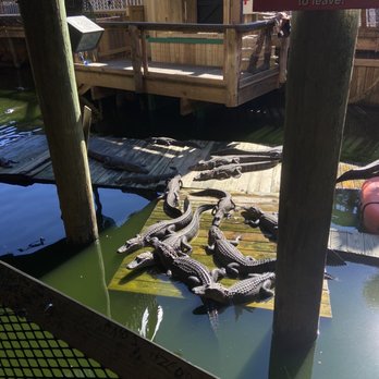 Gator Beach - Amusement Parks Near Me - Destin, Florida