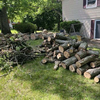 Bullys Tree Service - Tree removal - Tree Services Near Me - East Peoria, Illinois Bullys Tree Service - Tree removal - Tree Services Near Me - East Peoria, Illinois