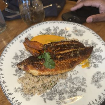 Virtue Restaurant - Salmon Large Rations - Southern Near Me - Chicago, Illinois