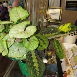 Heart Filled Creations - We always have plants in the shop for purchase.