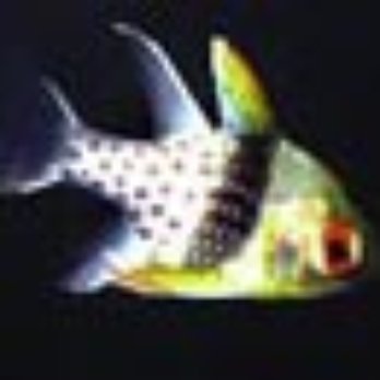 Océanopolis - Aquariums Near Me - Brest, 29 Océanopolis - Aquariums Near Me - Brest, 29