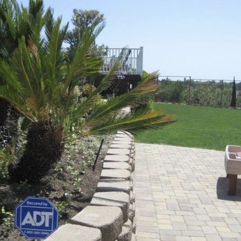 Tokiwa Landscape - Sago palms and pavers - Landscaping Near Me - Northridge, California