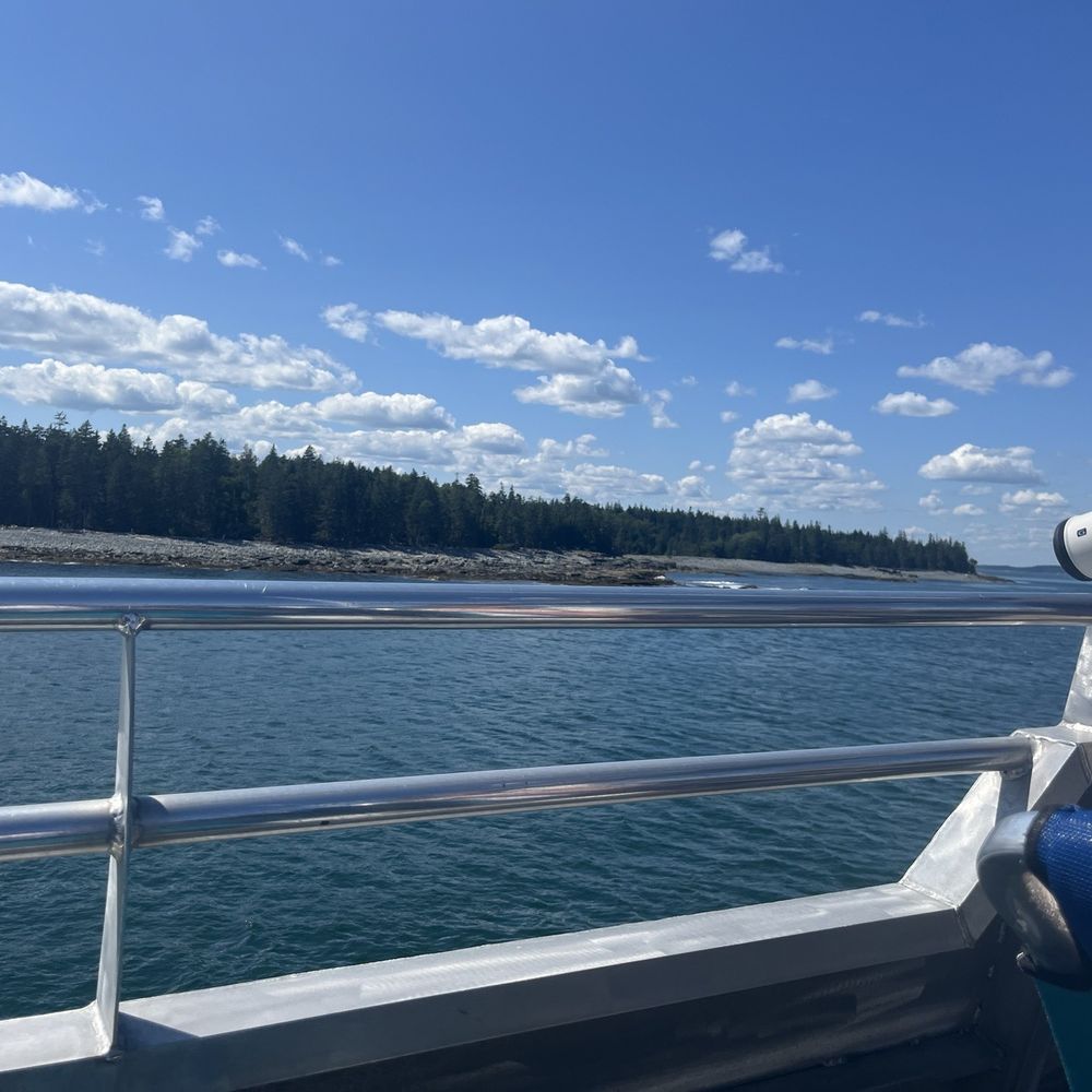 Bar Harbor Whale Watch - Whale Watching Tours Near Me - Bar Harbor, Maine