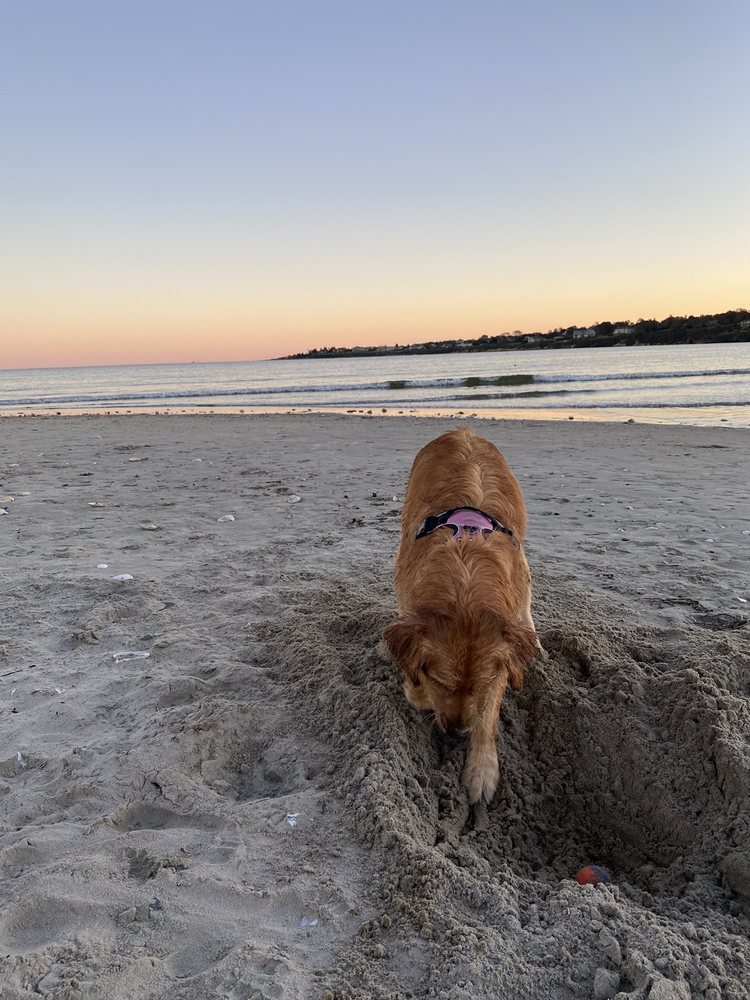 Shores Beach, Narragansett Roadtrippers