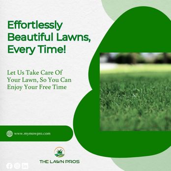 The Lawn Pros - a picture of a lawn - Lawn Services Near Me