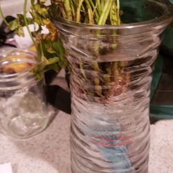 Urban Farmer