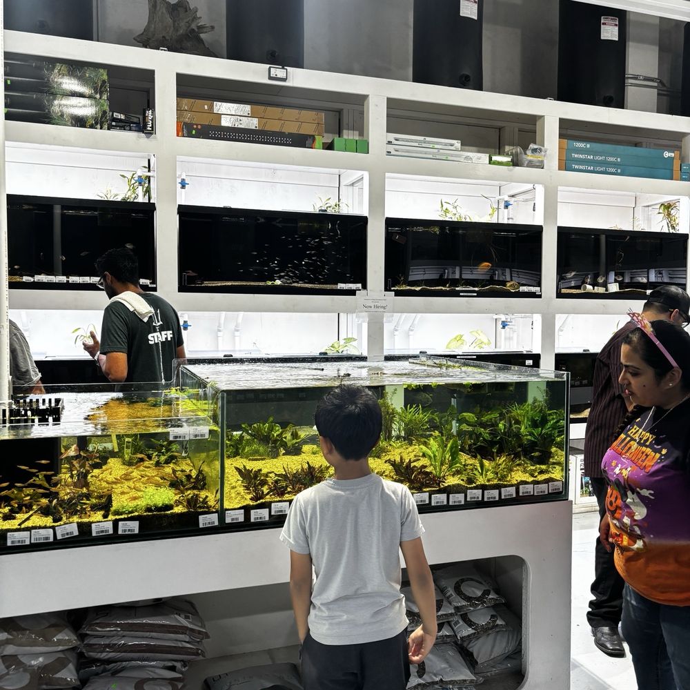 Neptune Aquatics - Aquarium, Corals and fishes - Aquarium Services Near Me - San Jose, California Neptune Aquatics - Aquarium, Corals and fishes - Aquarium Services Near Me - San Jose, California