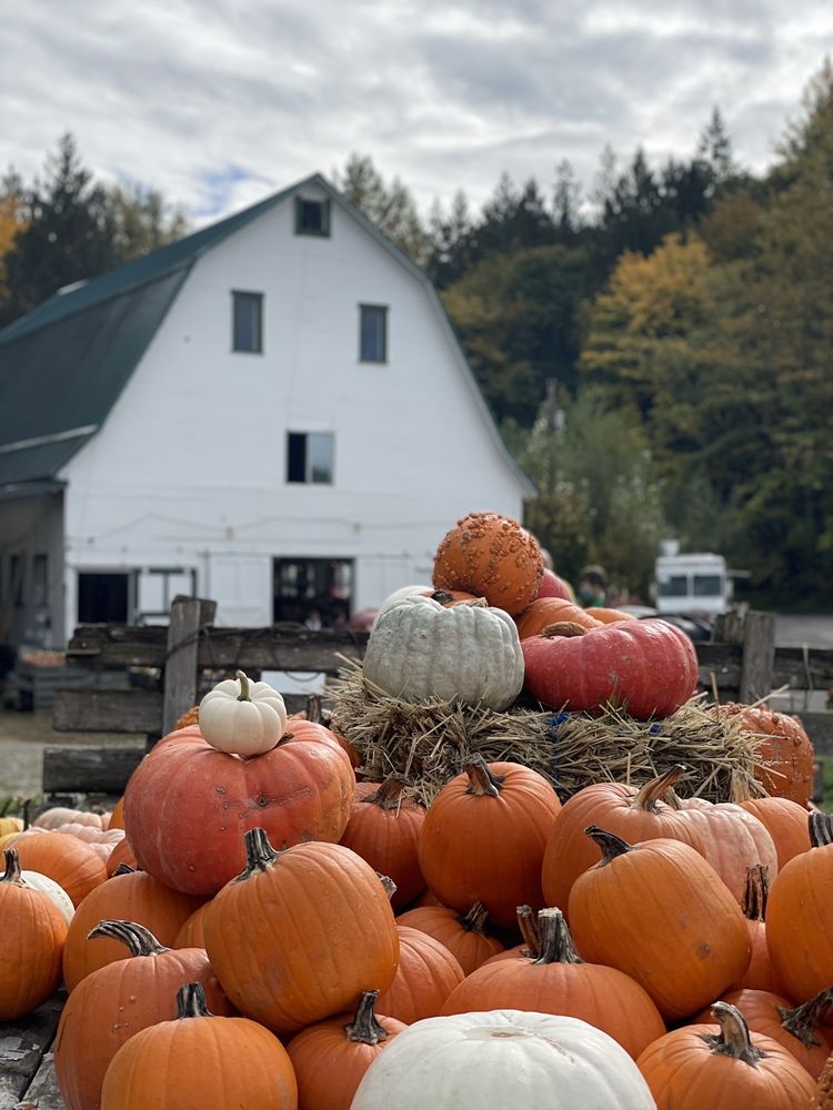 NOVELTY HILL FARM Updated May 2024 42 Photos 26617 NE 124th St