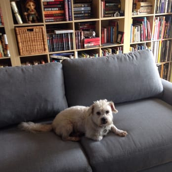 Beverly Hills Movers Company - Baxter on his new couch. Thank you Truck U for your impressive service. - Movers Near Me - Beverly Hills, California Beverly Hills Movers Company - Baxter on his new couch. Thank you Truck U for your impressive service. - Movers Near Me - Beverly Hills, California