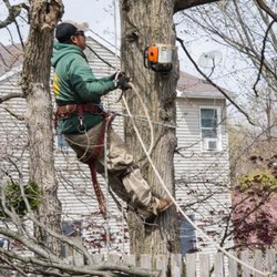 Atlantic Tree Service