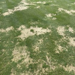 Makefield Highlands Golf Club - Some bad spots here and there.