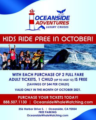 Oceanside Adventures by null
