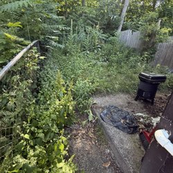 Yard Wizards